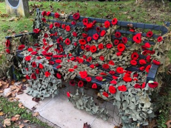 Remembrance Day Poppies